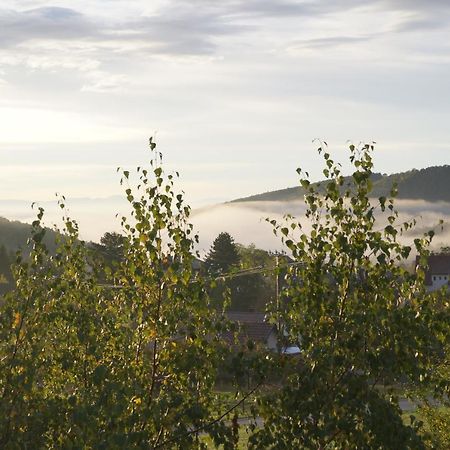 Gites Du Taennchel Thannenkirch Εξωτερικό φωτογραφία