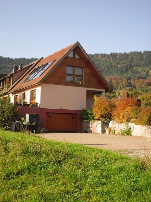 Gites Du Taennchel Thannenkirch Εξωτερικό φωτογραφία