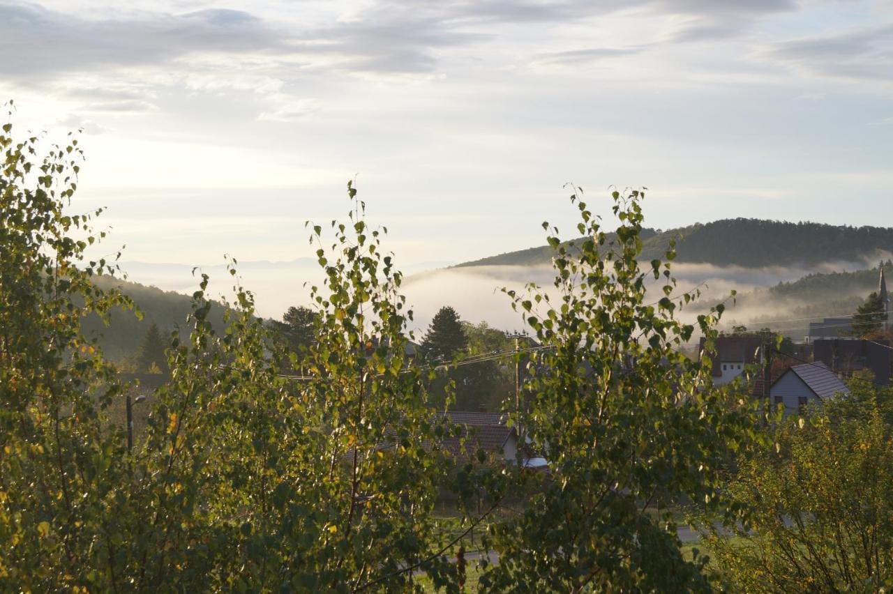 Gites Du Taennchel Thannenkirch Εξωτερικό φωτογραφία